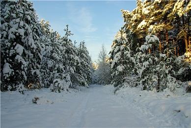 免费韩游《第一后裔》B测开启注册 配置公开